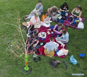 Knit In Public