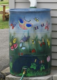 rain-barrel